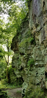 Trillium Trail cliff face
