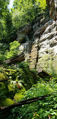 Trillium Trail fractured rock face