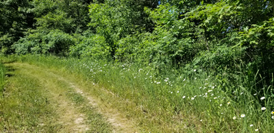 Meadow View Trail at Governor Dodge State Park