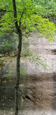 Cliff at Stephens Falls in Governor Dodge State Park